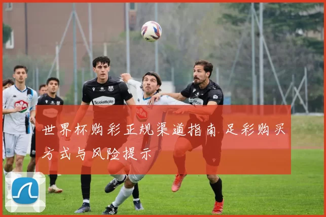 世界杯购彩正规渠道指南 足彩购买方式与风险提示